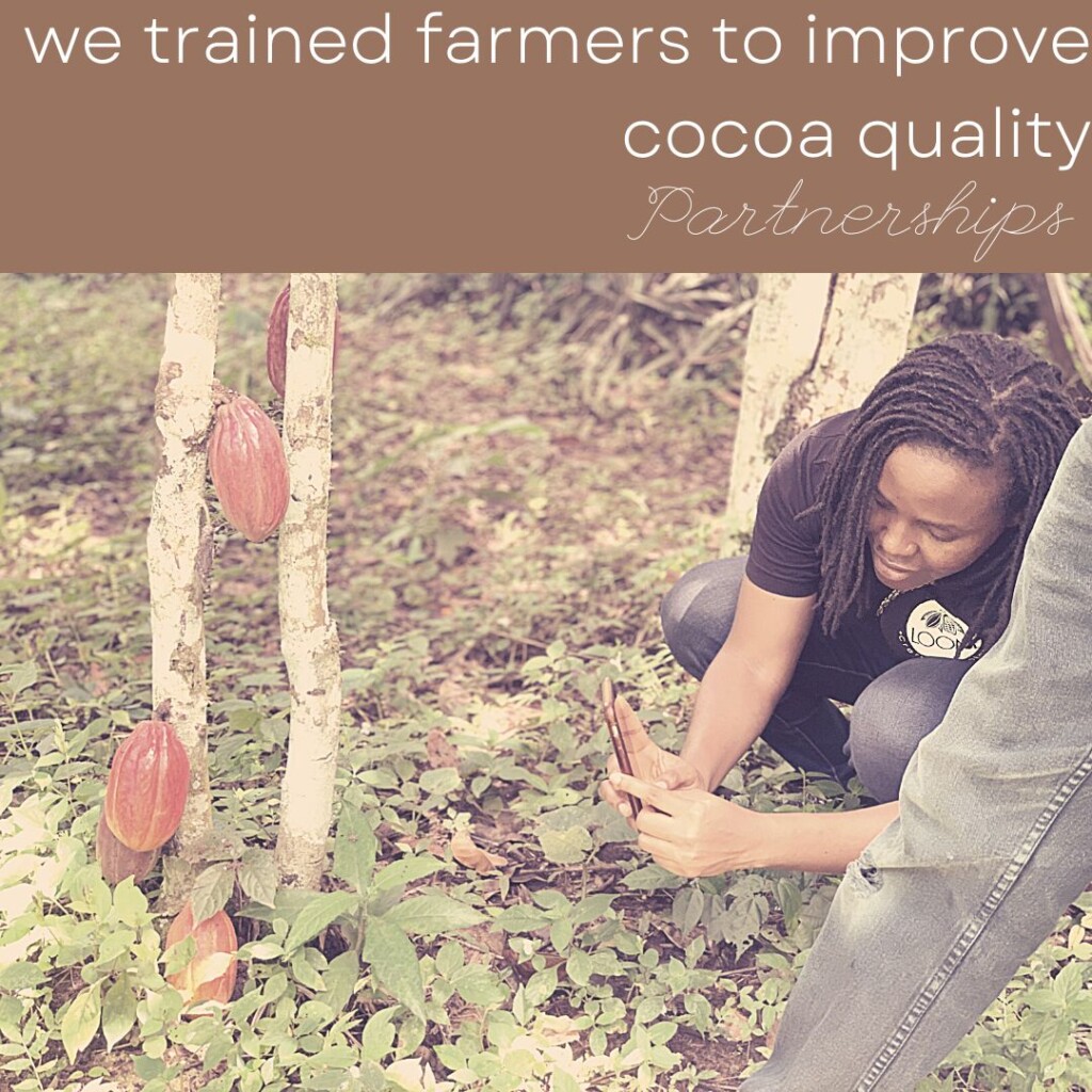 Loom Chocolate trained farmers to improve cocoa quality.